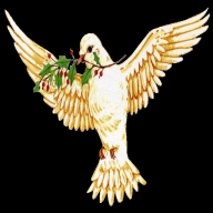 BÜLENT21